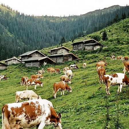 Pension Enzian Niederau Εξωτερικό φωτογραφία